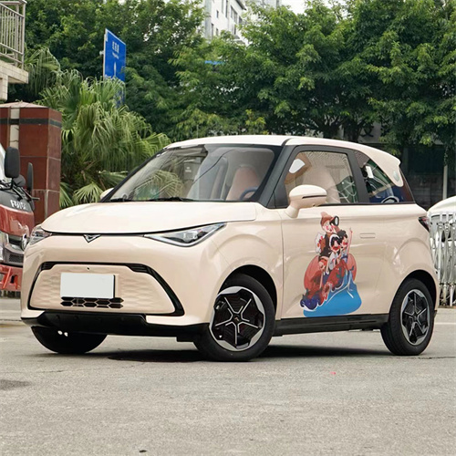 400km ndogo ev